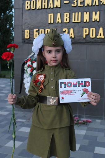 Красная гвоздика Красная гвоздика.